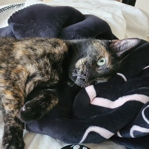 Meet your Posher, Pat